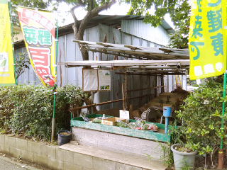 小寺　一成