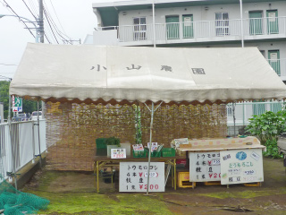 小山　俊雄