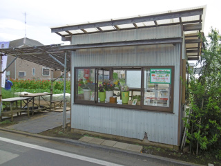 間野　泰広