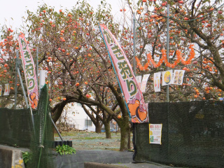 水田園（ミズタエン）