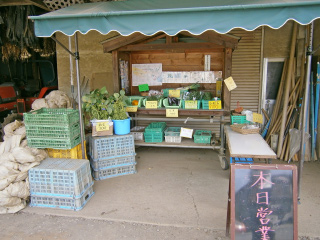 髙野　政則