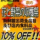 11/15(月)～20(土)秋の花と野菜の収穫祭/みらい東村山新鮮館